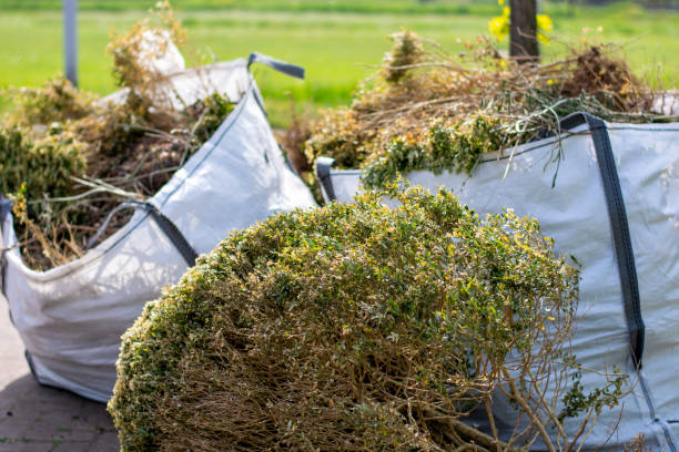 Best Mattress Removal Service  in Springfield, CO