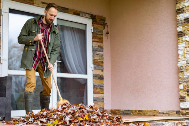 Best Basement Cleanout Services  in Springfield, CO